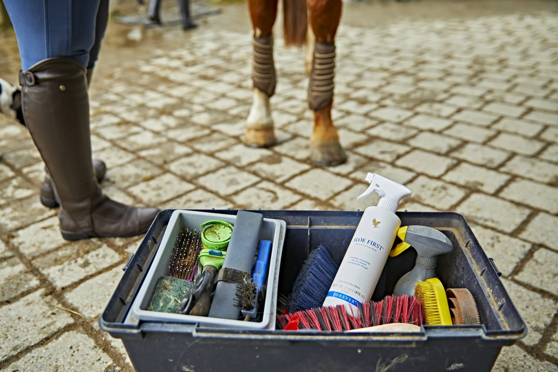 Aloe First - Image 5