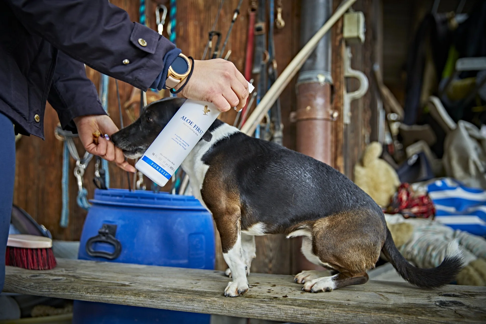 Aloe First - Image 6