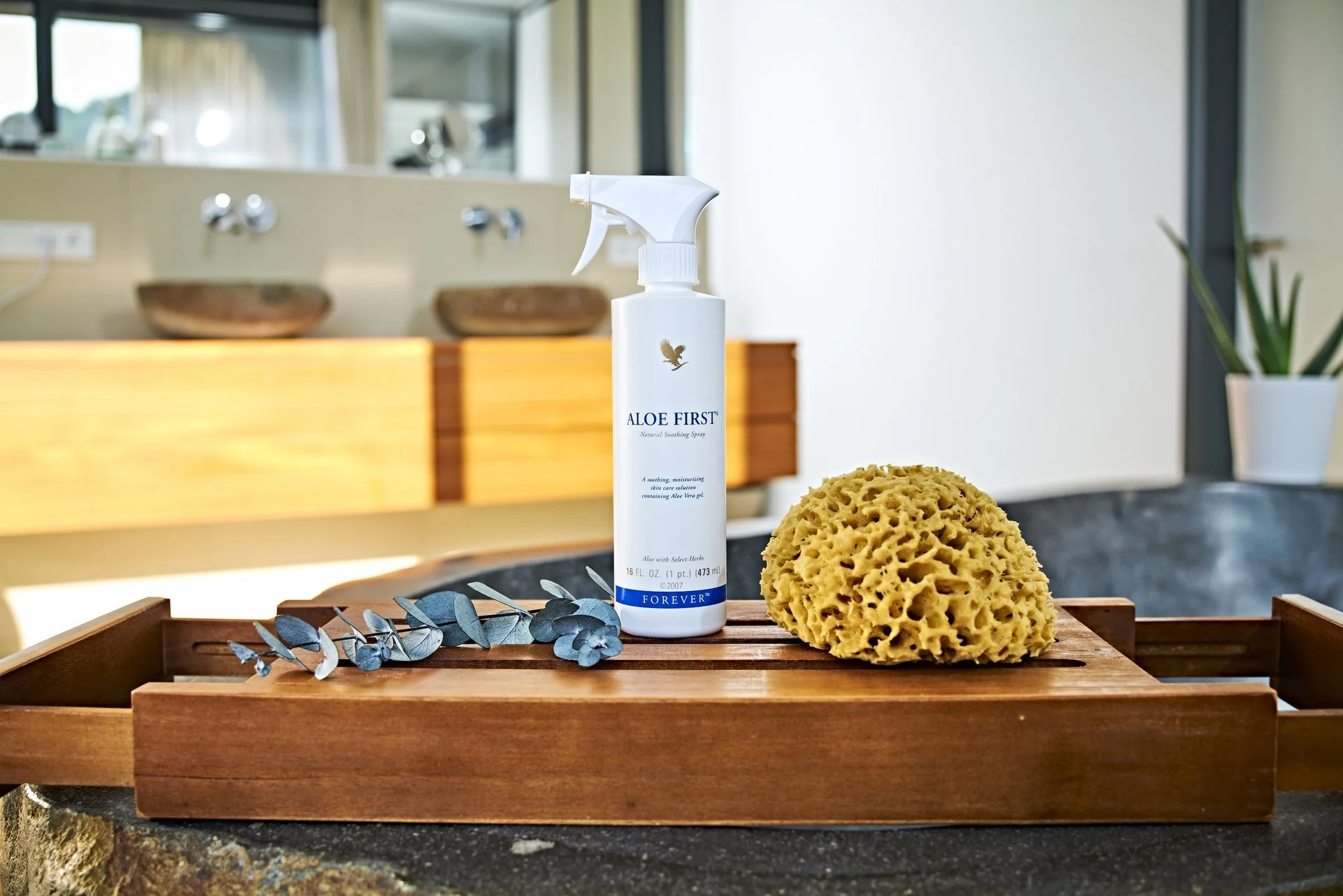 Aloe First - Image 8