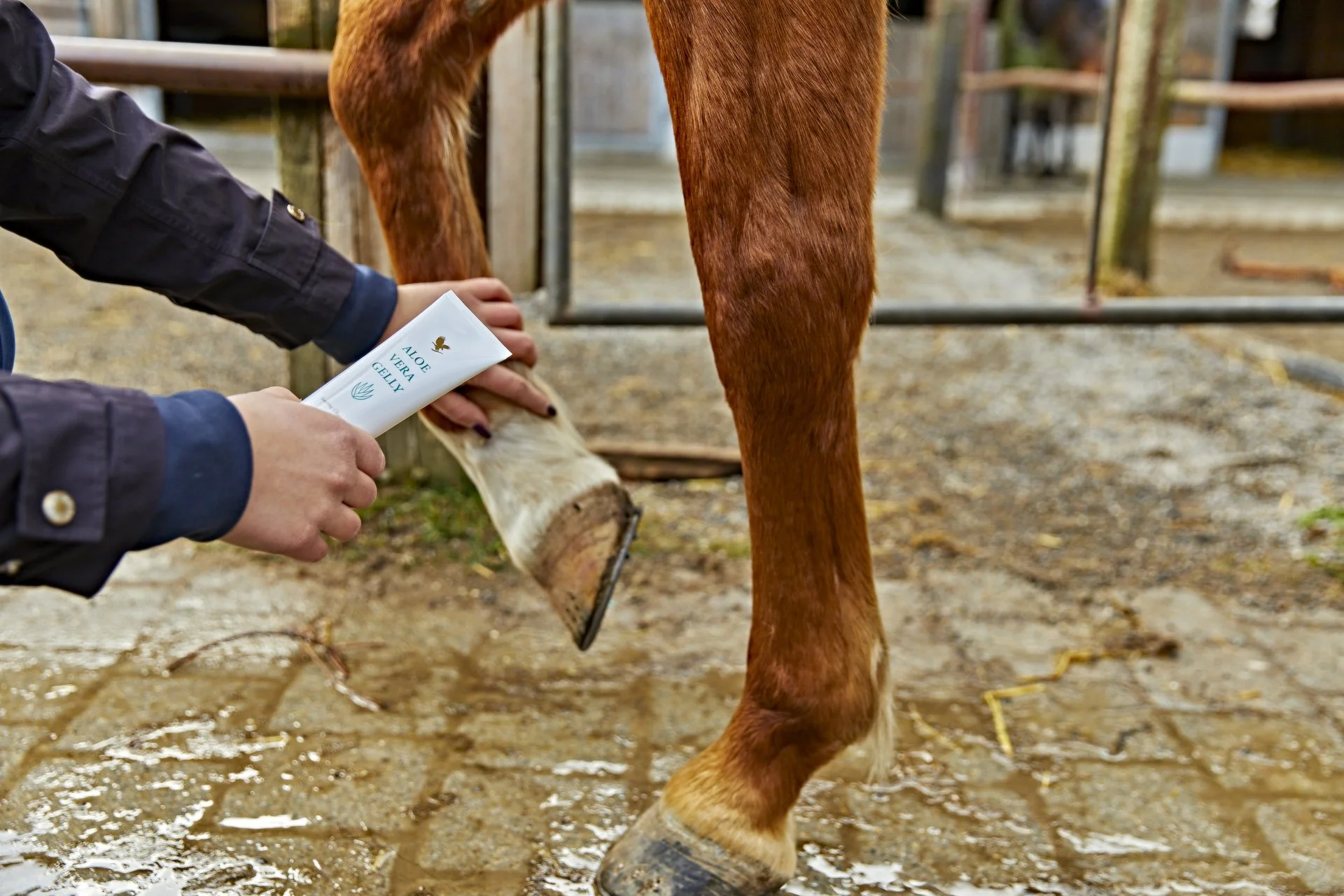 Aloe Vera Gelly - Image 8