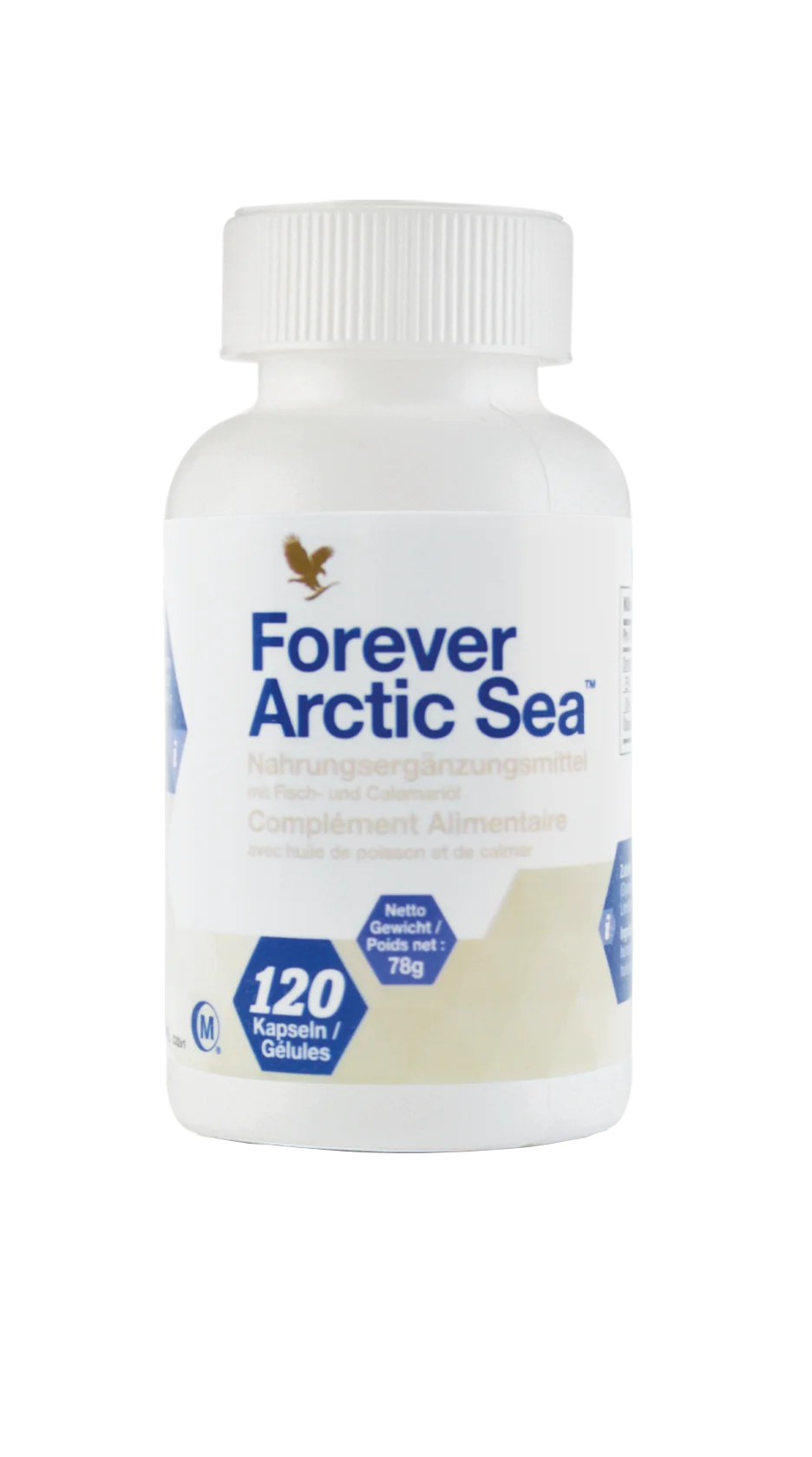 Forever Arctic Sea - Image 2
