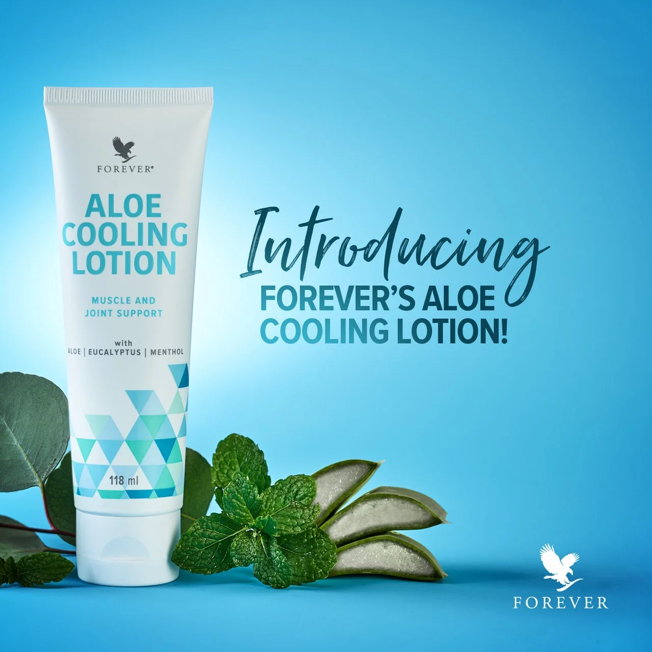 Aloe cooling lotion - Image 2